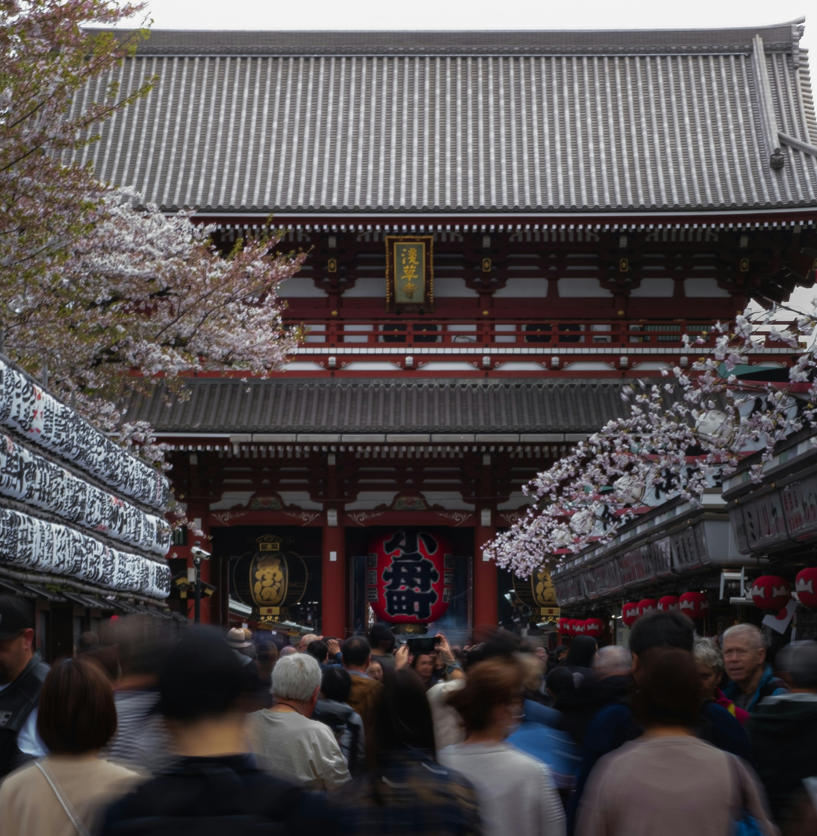 Japon